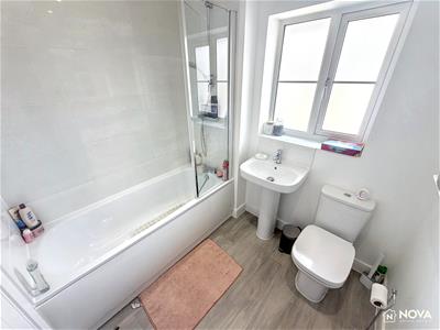 Picture 24